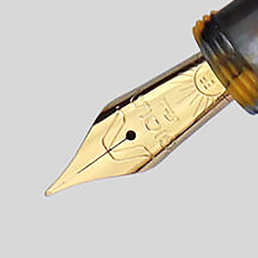 Gioia steel nib unit, Gold plated