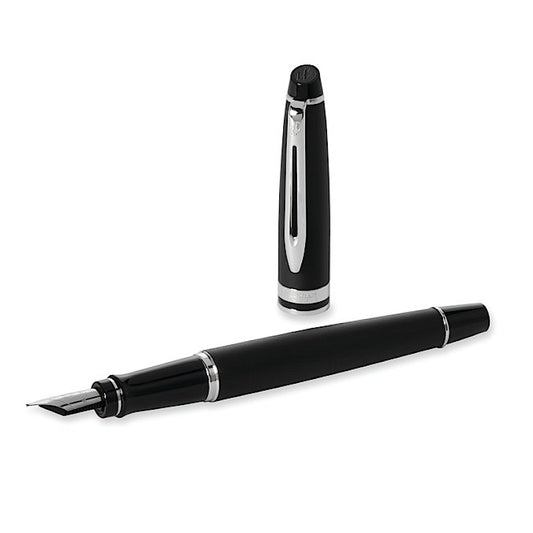 Waterman Expert Matt Black CT, F Tip