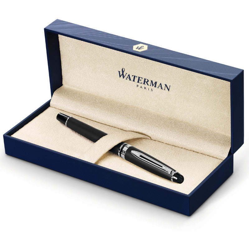 Waterman Expert Matt Black CT, F Tip